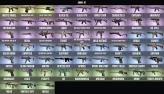 Rainbow Six Siege PC | 61 Skins | 56 Operators | Ranked Ready