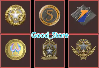 12 Lvl Steam-CS2 Prime 1003 hours+6Medals(2021-2022-2025 Service Medal/5Y/Premier Season One Medal/Global Offensive Badge)