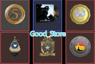 CS2 Prime 240 hours+5Medals(Antwerp 2022 Silver Coin/2022 Service Medal/10 Year/5Y/Global Offensive Badge)-Faceit Ready