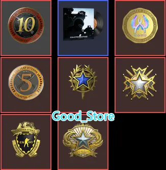 CS2 Prime 1372 hours+7Medals(2018-2019-2020 Service Medal/10Y/5Y/Loyalty Badge/Global Offensive Badge)