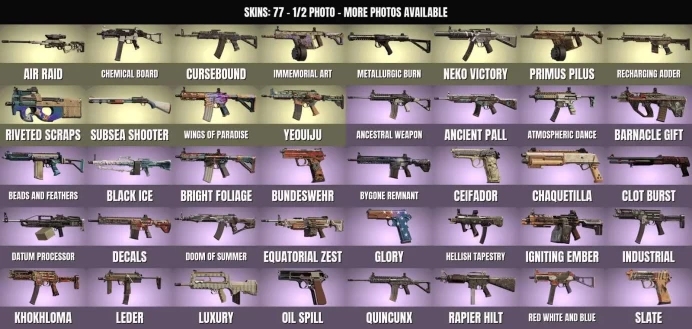 Rainbow Six Siege | 101 Skins | 49 Operators | Level 82 Ranked Ready