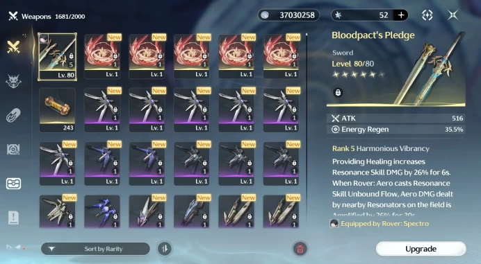 Wuthering Waves | Europe | Union Level 60 | Hsin C6 | Signature R5