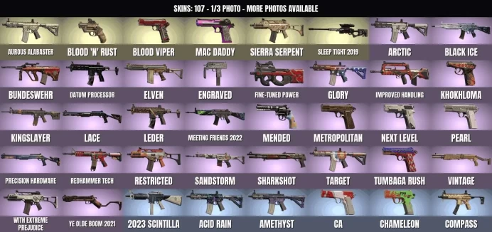 Rainbow Six Siege PC | 149 Skins | 66 Operators | Level 175 Ranked-Ready