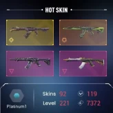 EU / 92 skins /RGX 11z Pro-Elderflame-Prime-Reaver-Evori Dreamwings-VANDAL / Prime//2.0 Karambit / SH#313