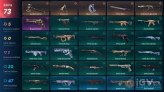 EU / 73 Skins / 4 Knives / Sentinels of Light Vandal kk8