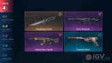 [Turkish] / Xenohunter Knife + Valiant Hero Vandal + Helix Phantom / Unranked / Full Access & Instant Delivery #T59