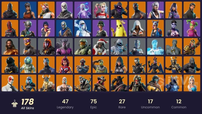172 skins | Black Knight | Galaxy | IKONIK | The Reaper | Glow | Full access