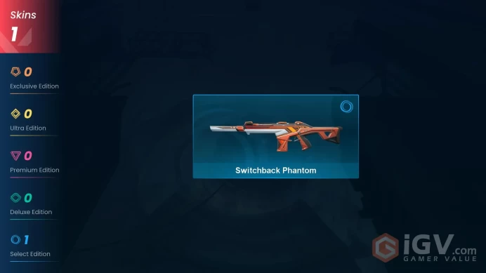 NA | 1 Skin | Silver | VP Value 875 | Switchback Phantom | Level 22 | 4 Agents | 6 Buddies |