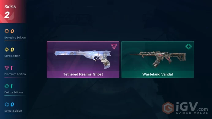 NA | 2 Skins | Silver 3 | Level 48 | Value VP 3050 | Tethered Realms Ghost | Wasteland Vandal | Buddies 41 | Agent 10 | Card 29 | Full Details B