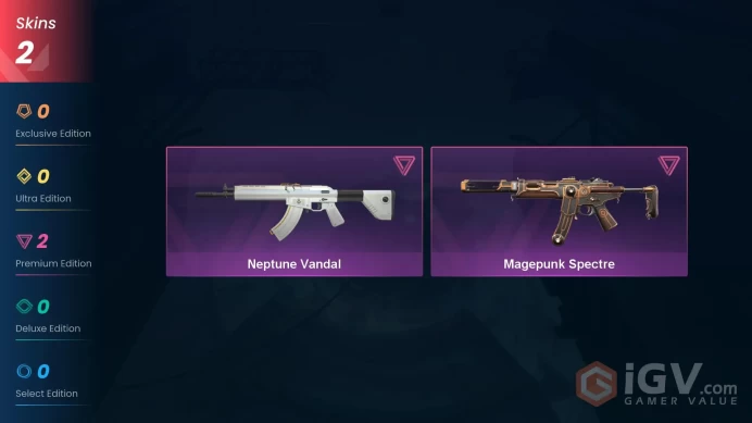 NA | 2 Skins | Platinum | Level 39 | 24 Buddies | Magepunk Spectre | Neptune Vandal | Full Access | Instant Delivery | Full Access | Full Detail