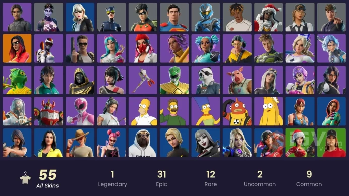PC,PSN,XBOX 55 SKINS FA - CHANI,JOLTARA,CATWOMAN,KATALINA,CLIX,SIMPSONS,DARK BOMBER,SHADY DOGGO RK1426