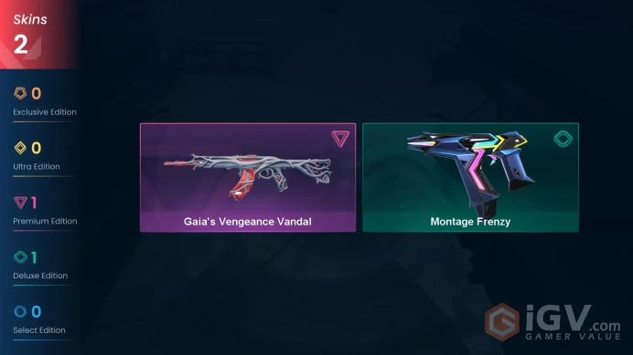 EU | 2 skins | Gaia's Vengeance Vandal | Montage Frenzy | O4366