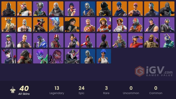 40 skins | Black Knight | Elite Agent | Take The L | Floss | Blue Squire | Royale Knight | Havoc | Ride The Pony | Mako | Snowflake