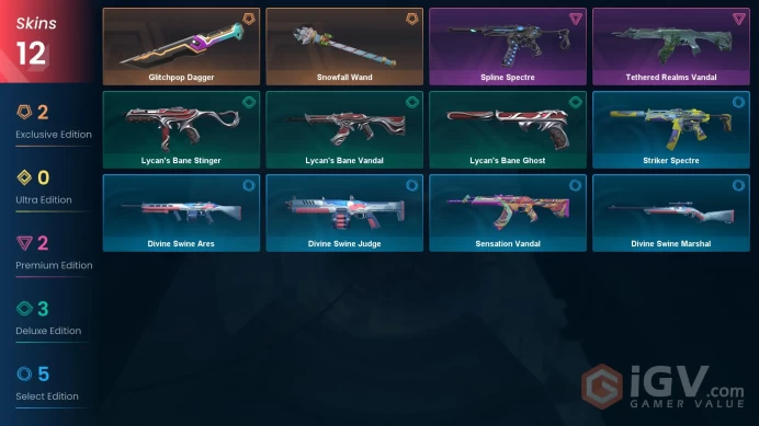 EU | 12 Skins | Silver |  Battlepasses 1 | Glitchpop Dagger | Snowfall Wand | Level 25 | Buddies 13 | Full Access | Instant Delivery | Full Deta