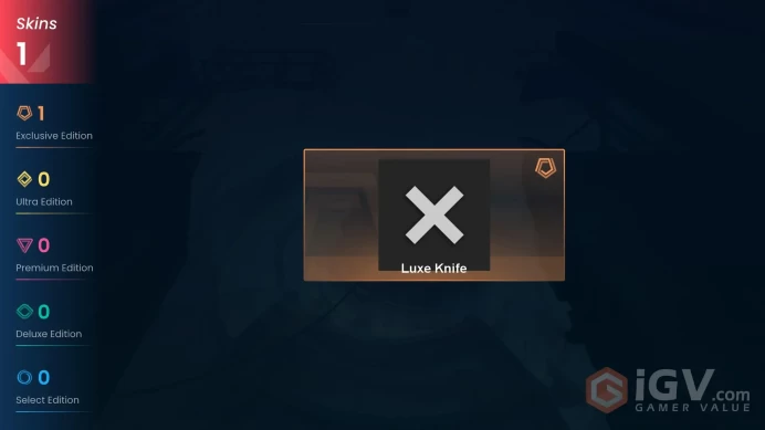 EU Level 24 1 Skins 10 Agents