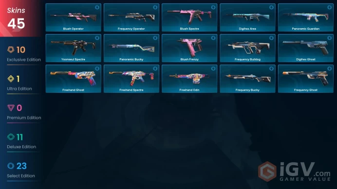 NA+45 skins+28000VP+Bronze 1+Champions 2023 Vandal+Protocol 781-A Bulldog+Composite Knife+Singularity Butterfly Knife