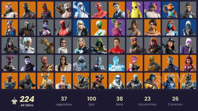 224 skins | Rogue Spider Knight | Gold Meowscles | WORLD CUP | Gold Midas | Gold Brutus | Shot Stopper | Snake Eyes | Rogue Agent | 550 VB