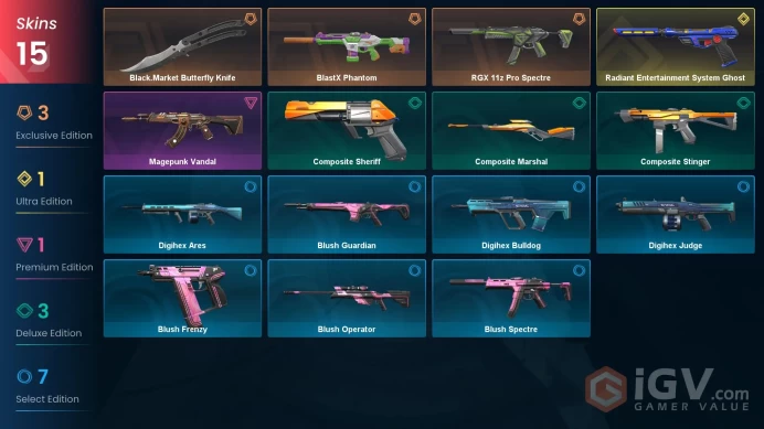 EU / 15 Skins / 1 Knife / RGX 11z / BlastX / Radiant Entertainment / Magepunk / Black.Market / Blush / Composite / Digihex  XB48