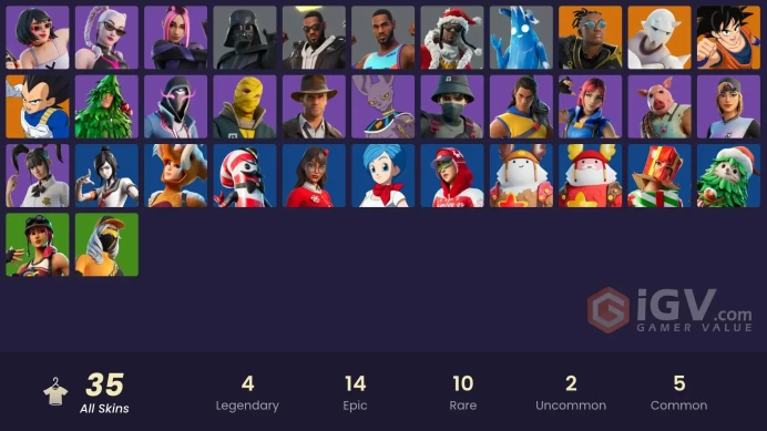 Fortnite Account [PC] 36 skins | Malik | Vegeta | Son Goku | Snap | Darth Vader | Polar Peely | Santa Dogg | Tune Squad LeBron | LeBron James | 