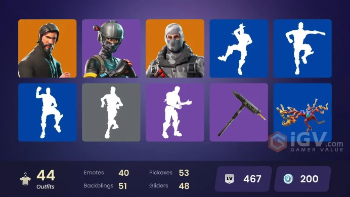 34 Skins - Mail Access - The Reaper - Take the L - Elite Agent - Deluxe Stw - Havoc - Carbide - Blue Team Leader