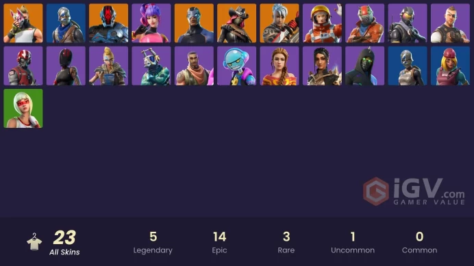 23 Skins -  Mail Access - Blue Squire -  Royale Knight - Battle Bus Banner - Snowflake - Rogue Agent