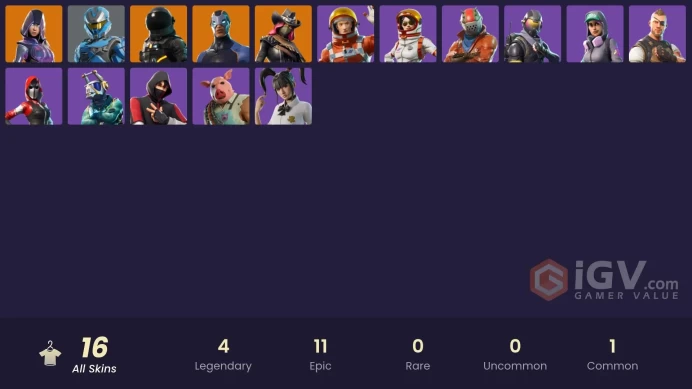 [PC] 16 skins | IKONIK | Glow | Rogue Agent | Calamity | Dark Voyager | Carbide | UNSC Spartan | The Ace | Pig the Butcher | 200 VB