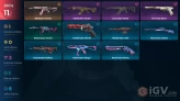 EU | Valorant Account | 11 Skins | Vandal "Mysterious Flower" | Vandal "Cryostasis" | Vandal "Brave Hero" | Ghost "Monarch"