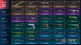 37 Skin // EU-TR // Elderflame + RGX + Prelude To Chaos + Ruination + Singularity + Ion + Reaver + Magepunk + Recon // FULL Access